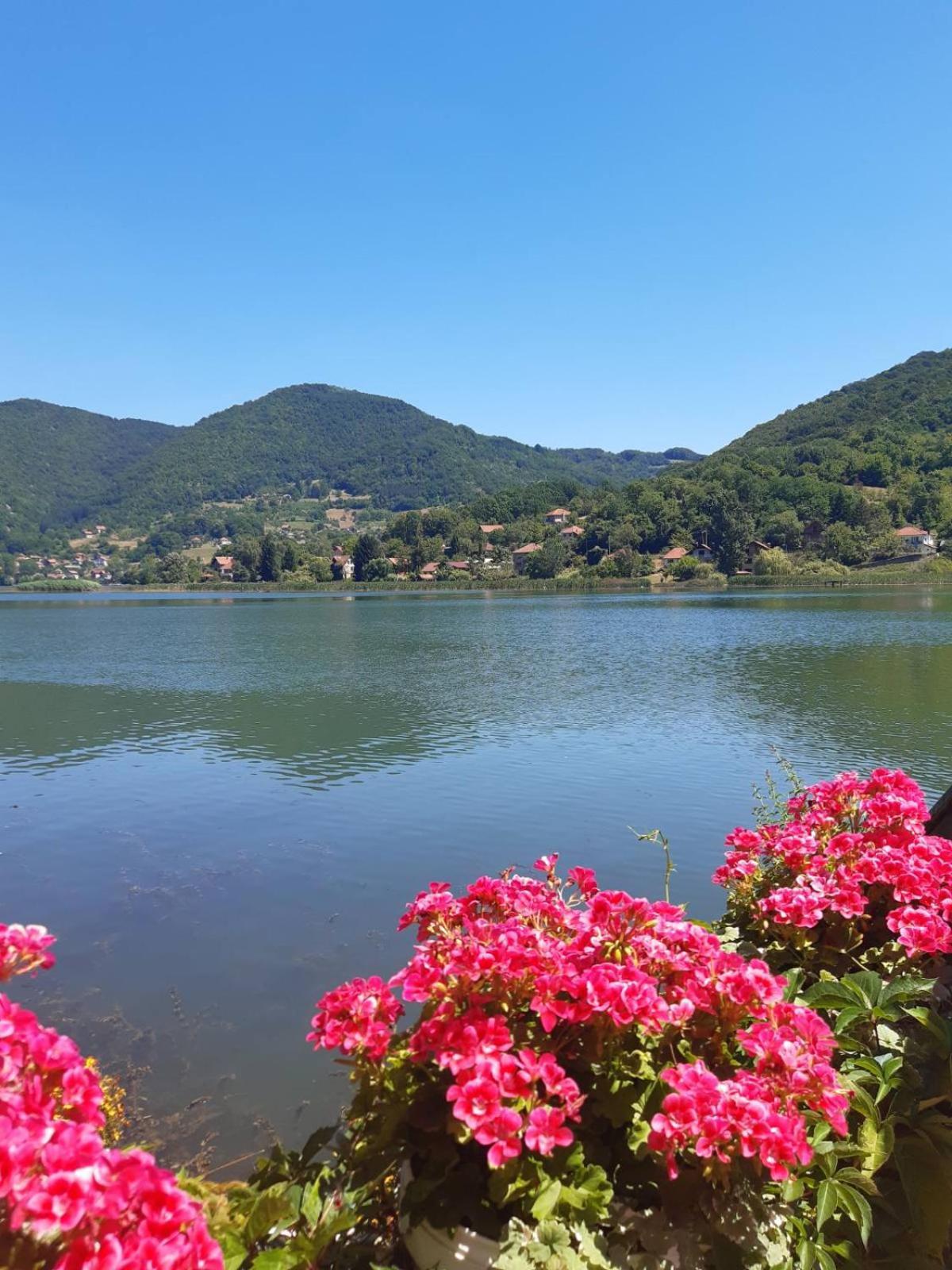 Vila Oaza - Zvornicko Jezero Zvornik Extérieur photo